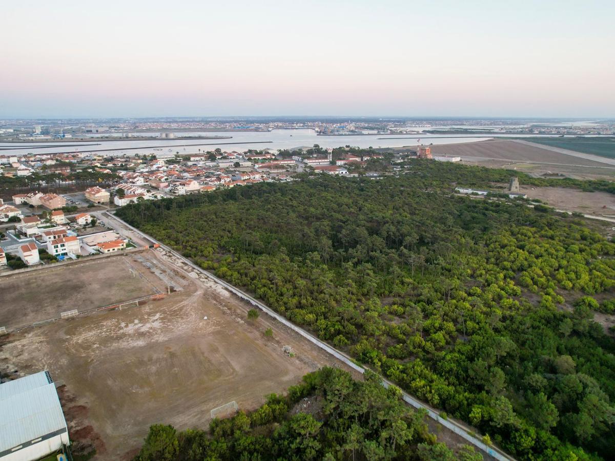 Apartmán Apartamento Encantador Perto Da Praia, Em Sao Jacinto Aveiro Exteriér fotografie